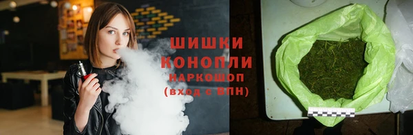 бошки Белокуриха
