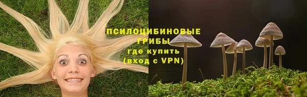 бошки Белокуриха