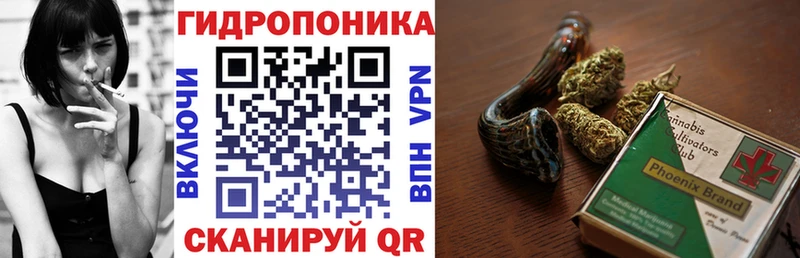 Бошки марихуана сатива Плёс